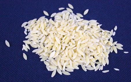 Setaro semi cicoria 1 kg