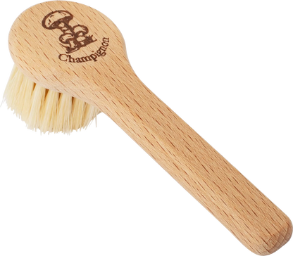 Redecker mushroom brush, with handle