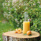 Korkillinen lasipullo