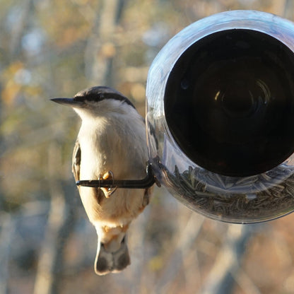 Born in Sweden Birdfeeder for the window