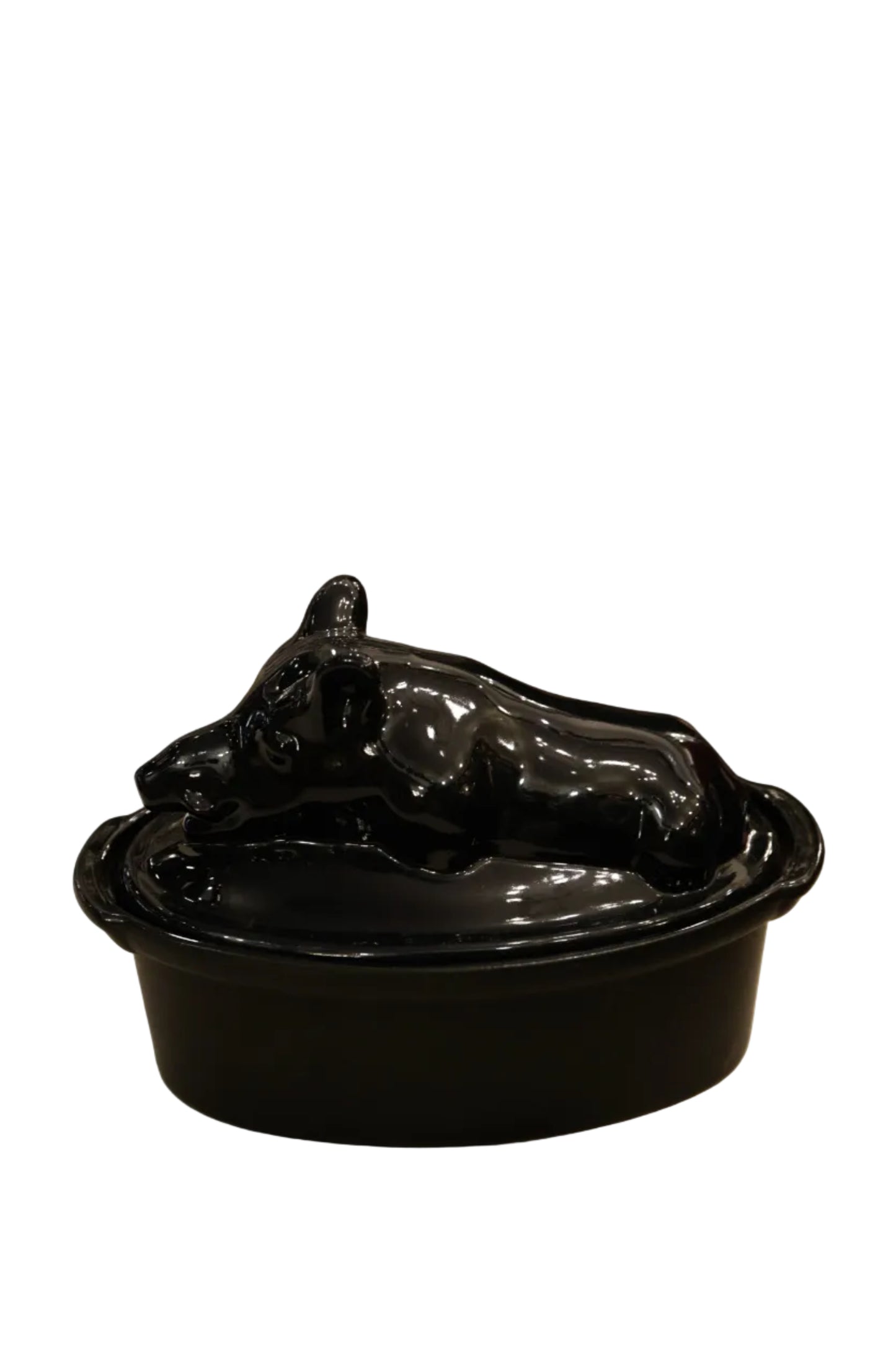 Digoin terriinivuoka, villisika