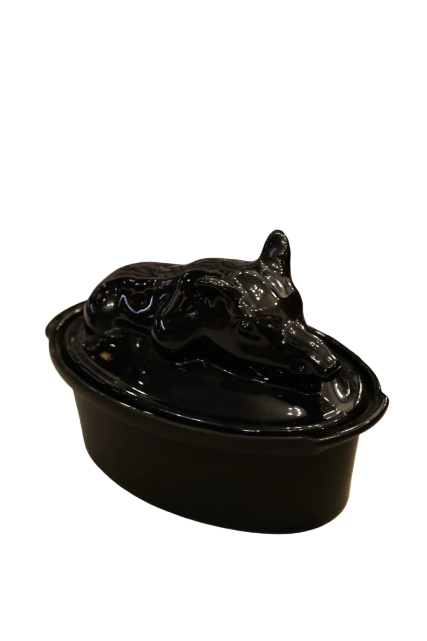 Digoin terriinivuoka, villisika