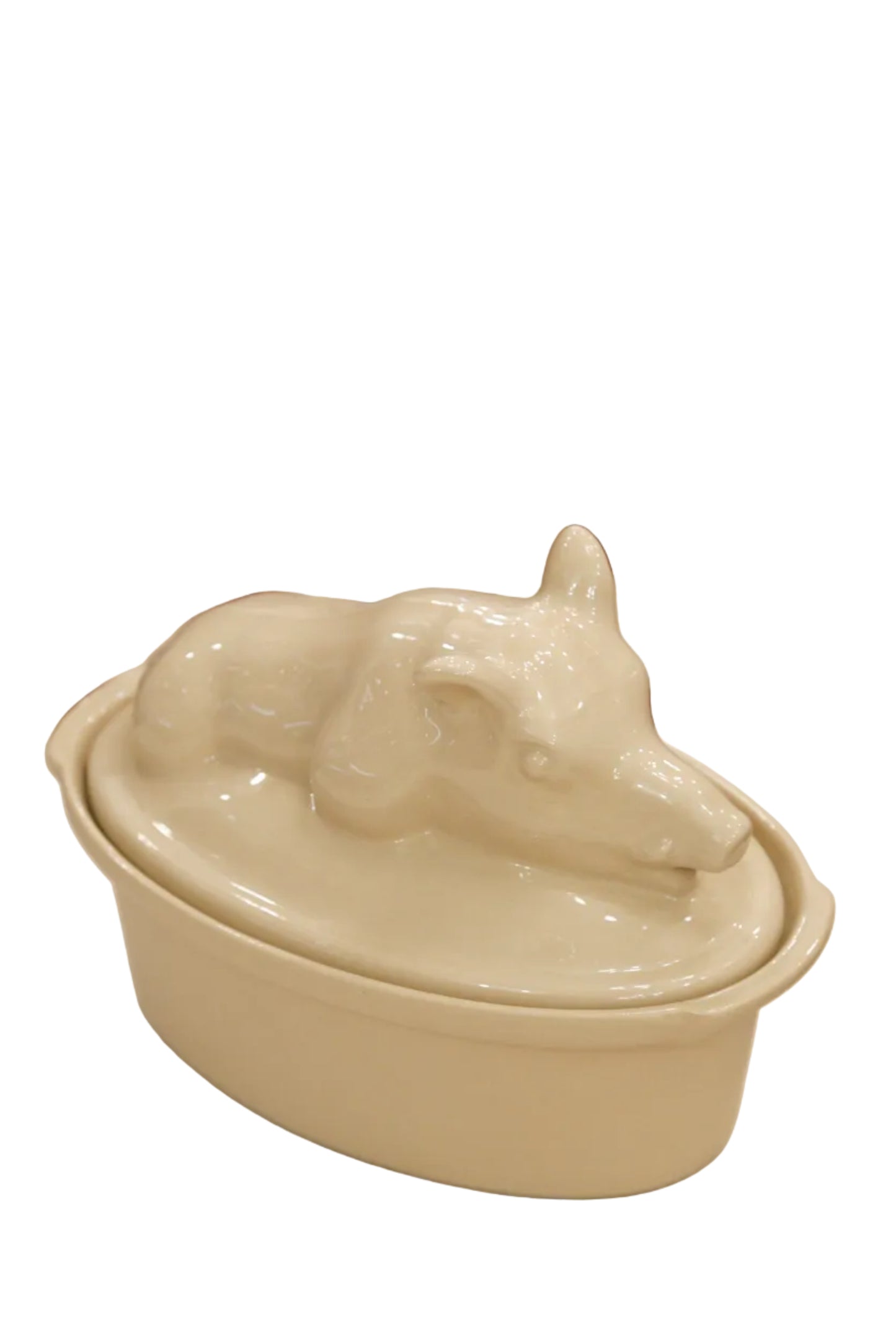 Digoin terriinivuoka, villisika