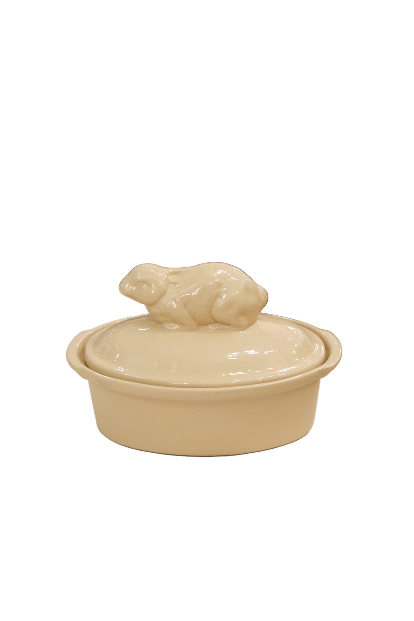 Digoin terriinivuoka, kani