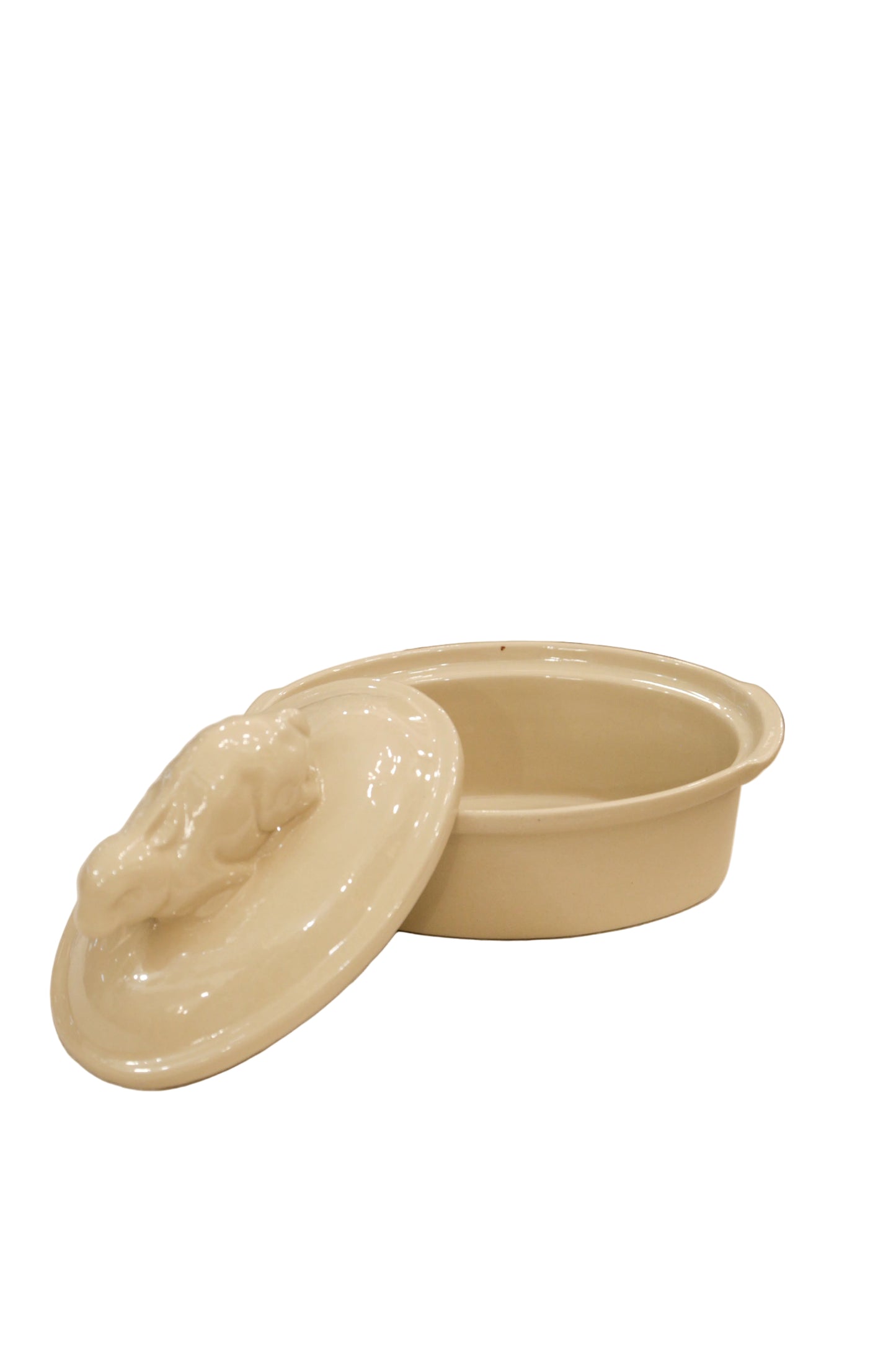 Digoin terriinivuoka, kani