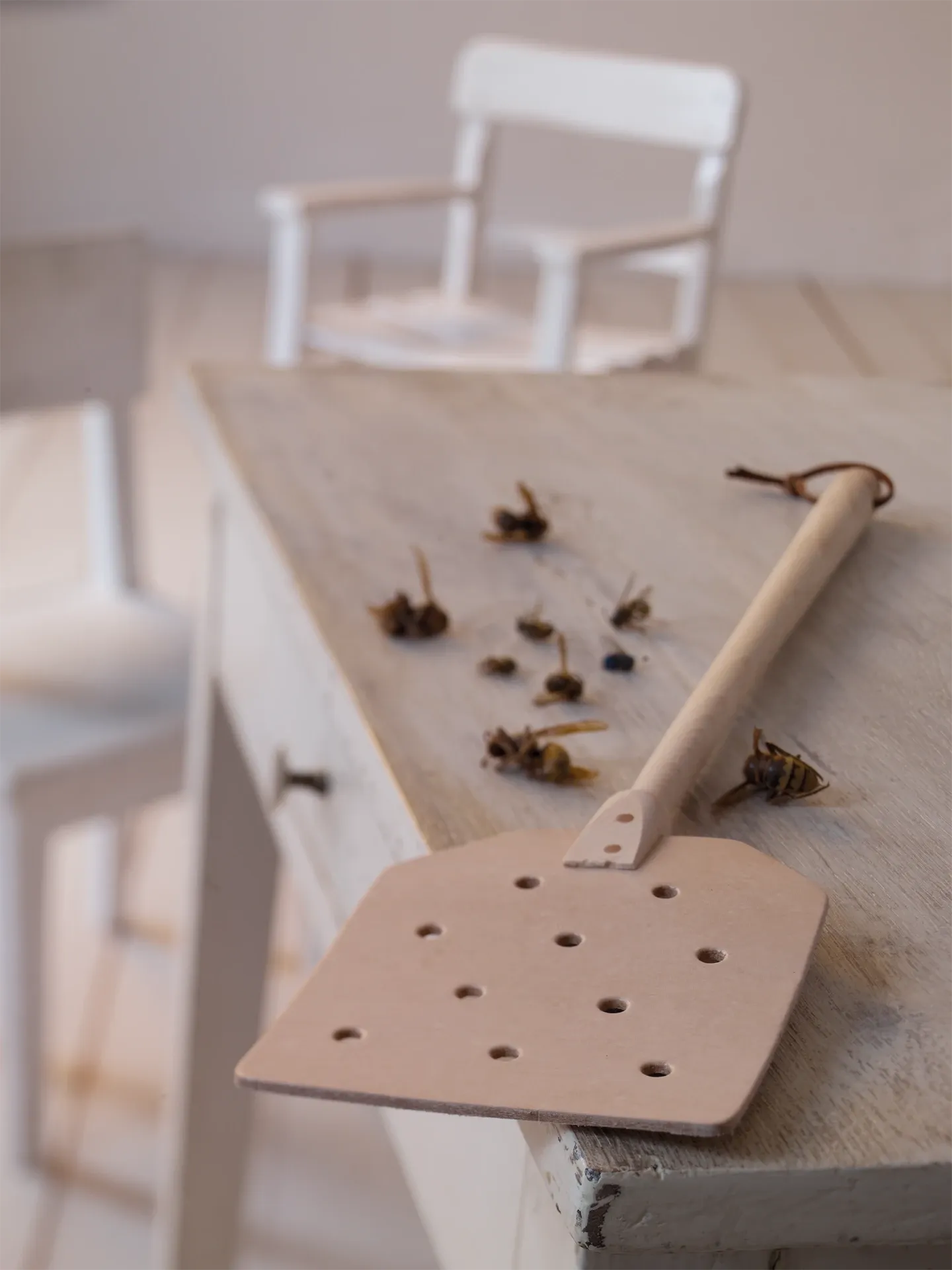 Redecker nahkainen kärpäslätkä