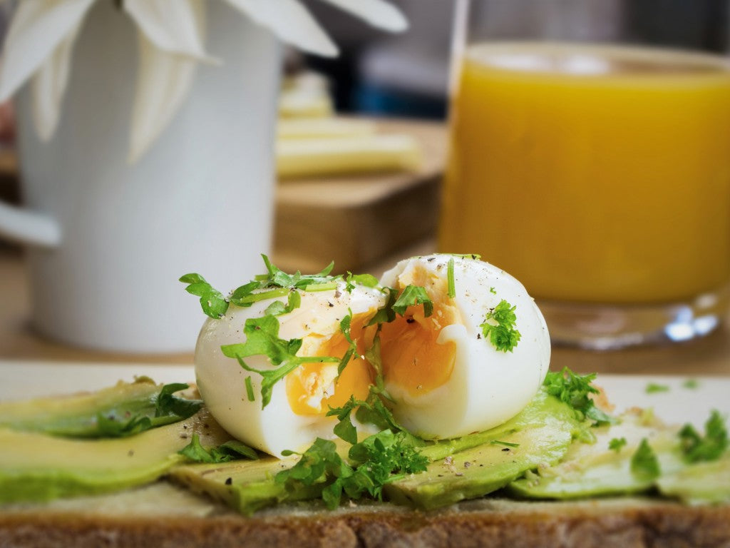 BeepEgg Tulpaner