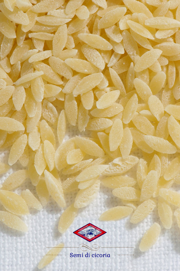 Setaro semi cicoria 1 kg