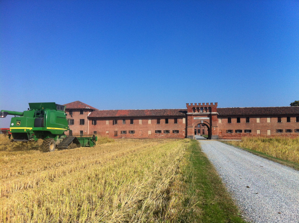 Acquerello Carnaroli ris