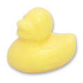 Florex sheep's milk soap, duckling