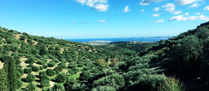 Thema olivolja från Kreta