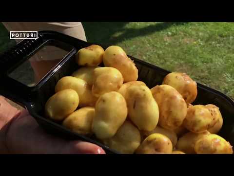 Potturi perunapesuri